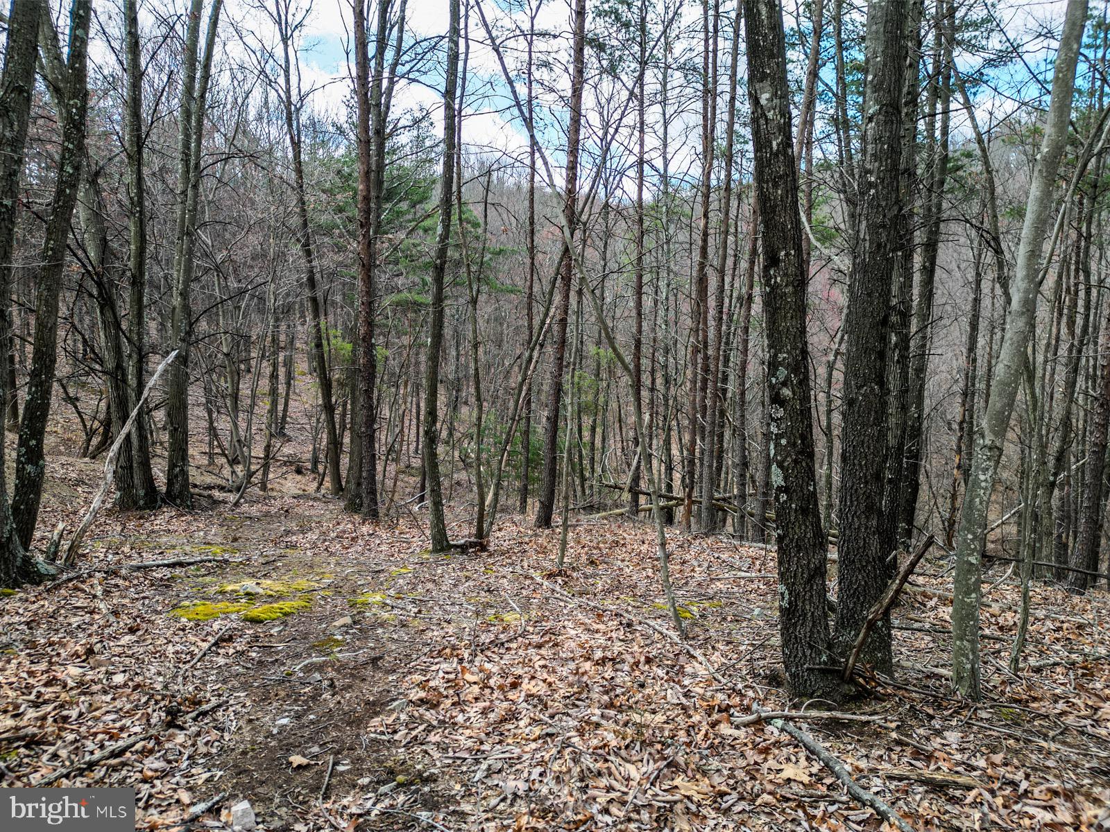 ASHTON WOODS - Land