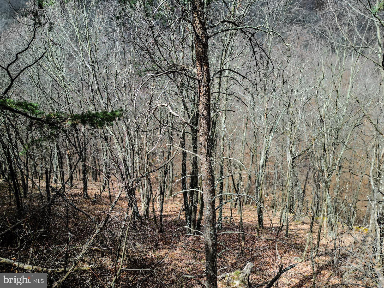 ASHTON WOODS - Land