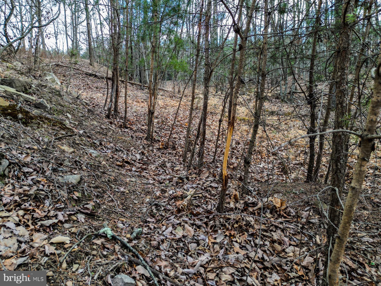 ASHTON WOODS - Land