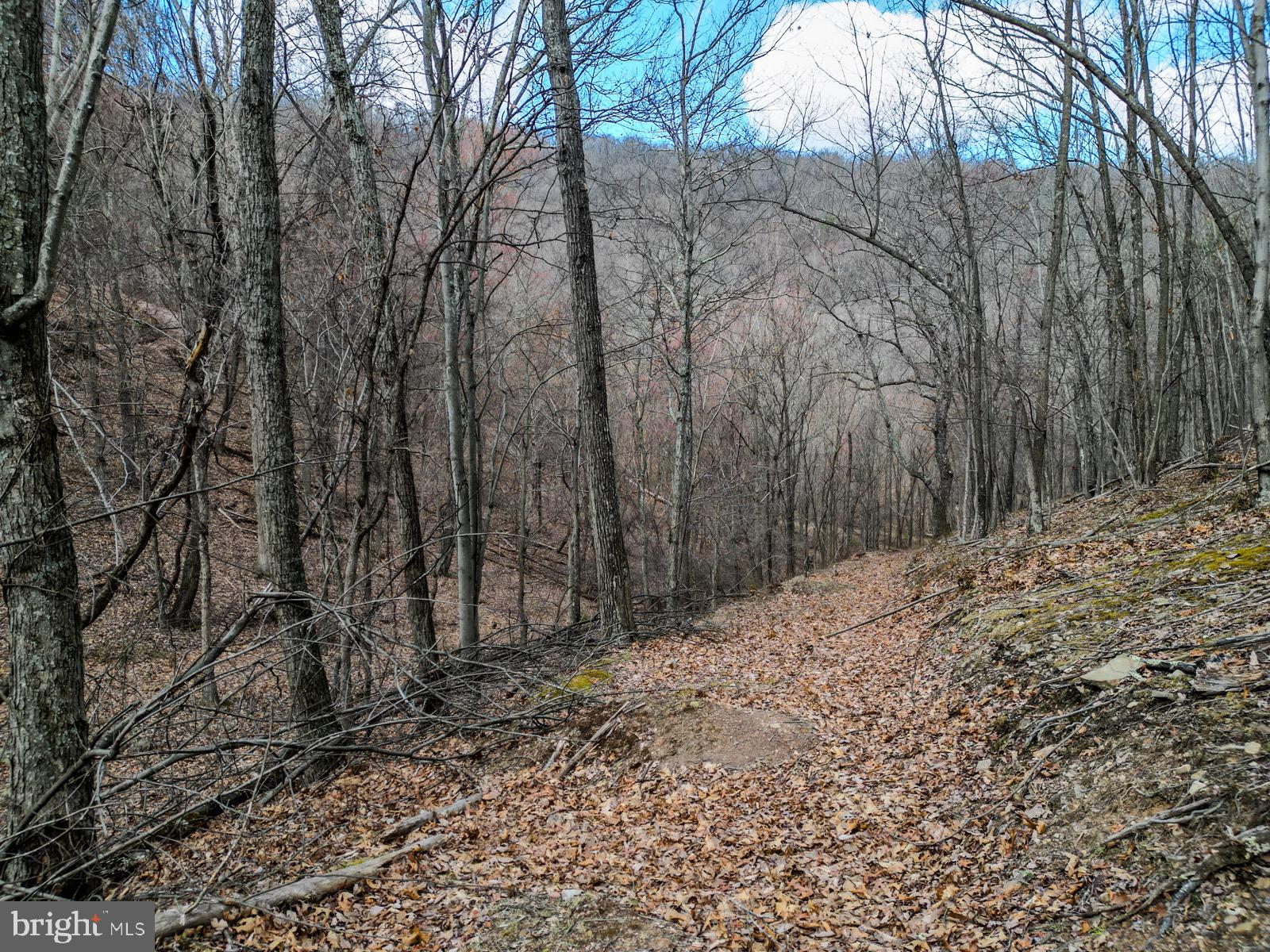 ASHTON WOODS - Land