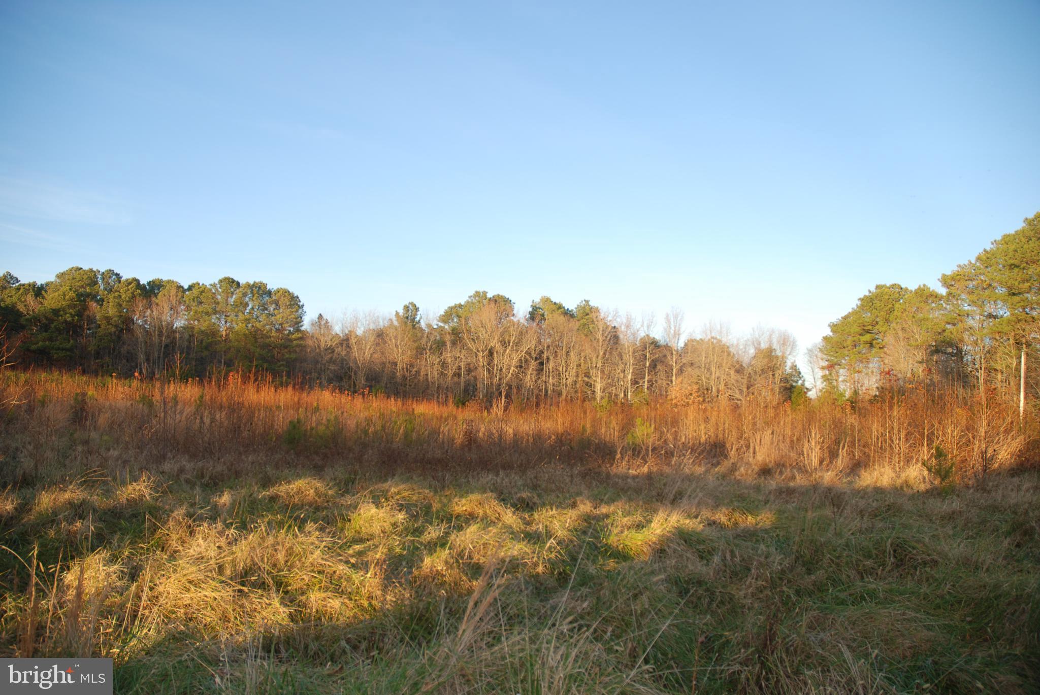 RIVERWIND FARMSTEADS - Residential