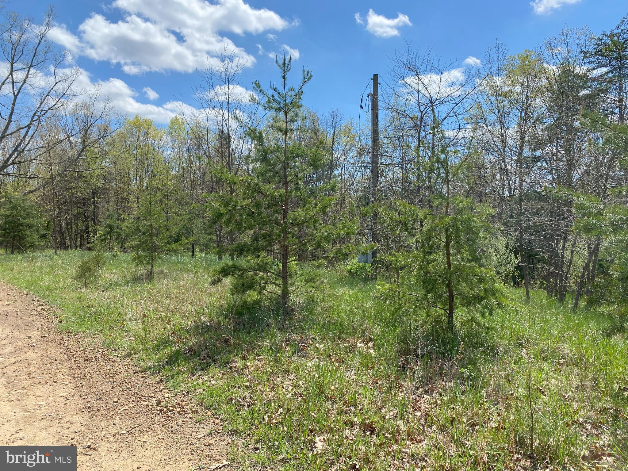 FRENCHBURG ESTATES - Land