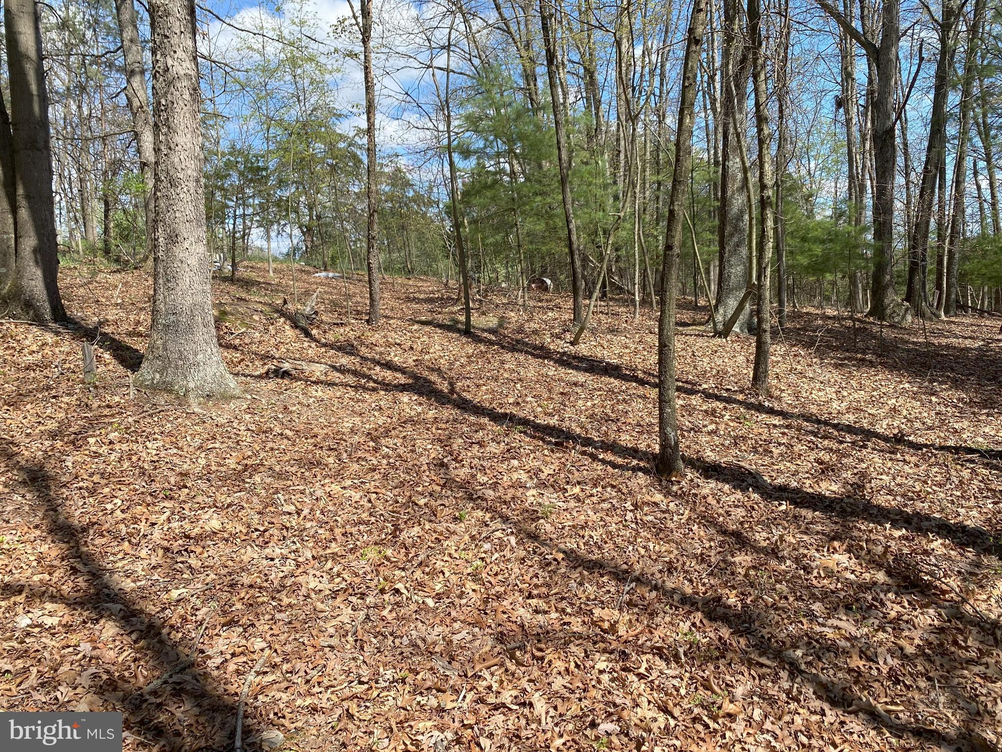 FRENCHBURG ESTATES - Land