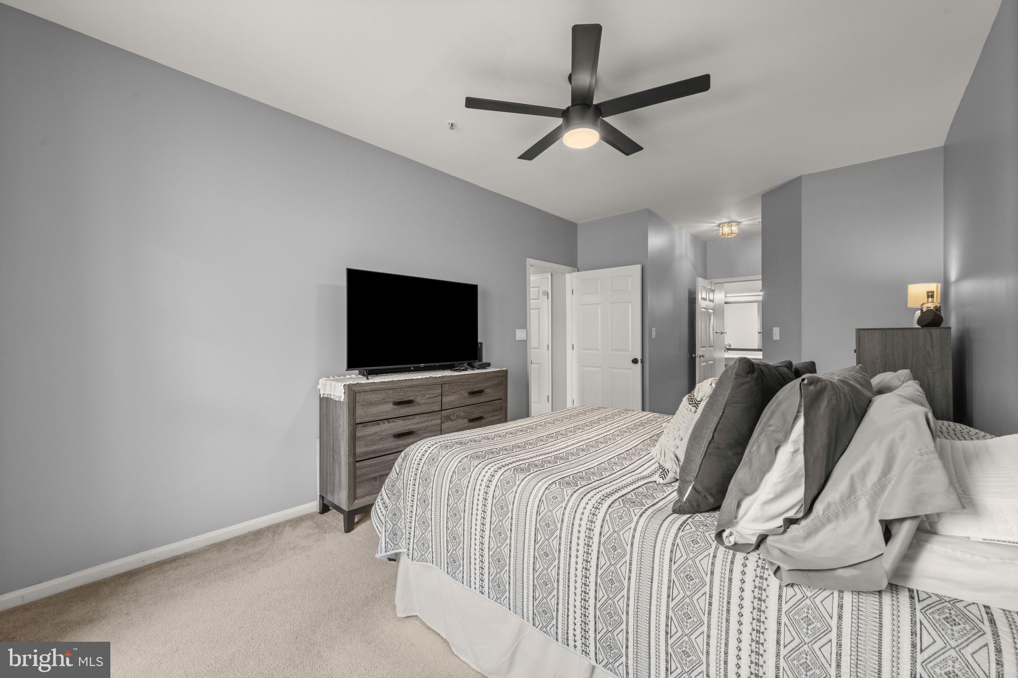 CEDAR GROVE AT CROFTON - Residential