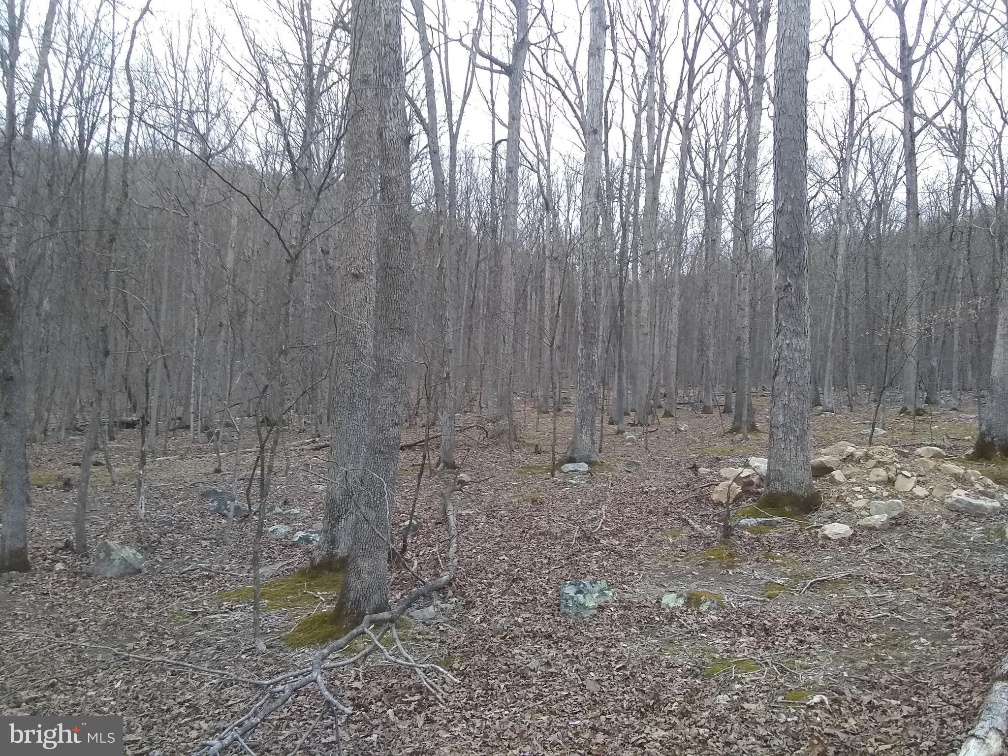 VOS MOUNTAIN - Land