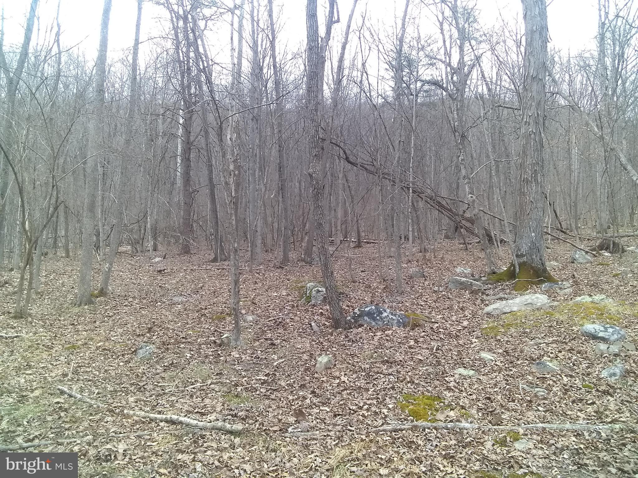 VOS MOUNTAIN - Land