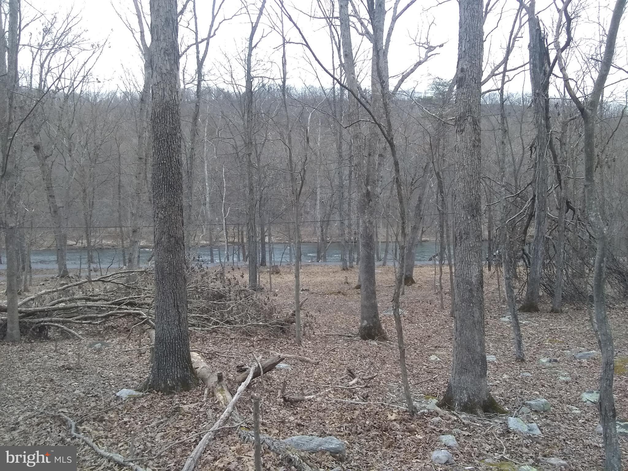 VOS MOUNTAIN - Land
