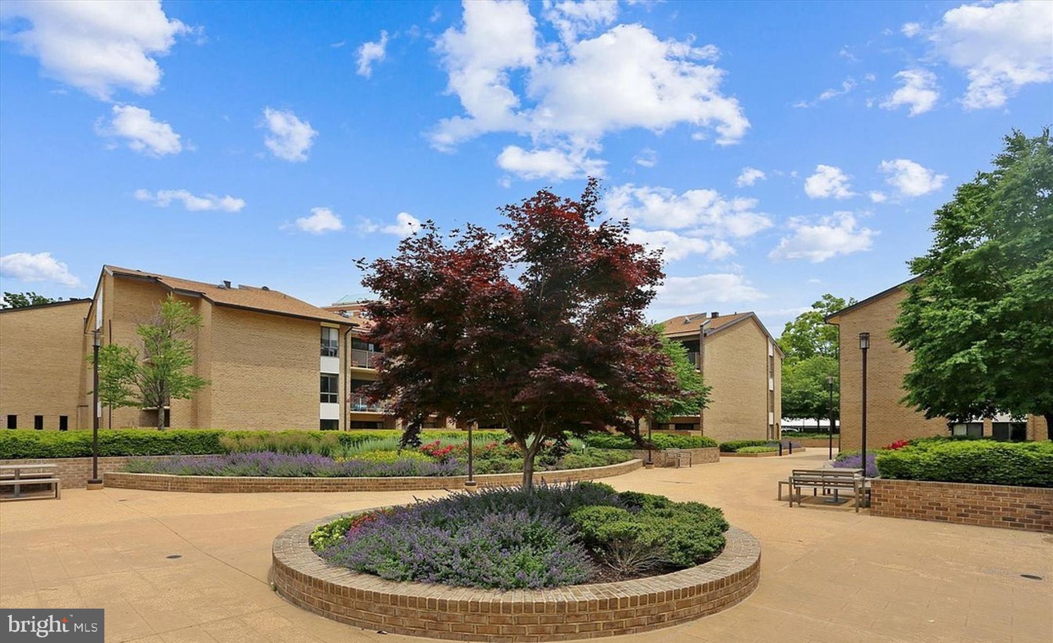 AMERICANA CENTRE - Residential