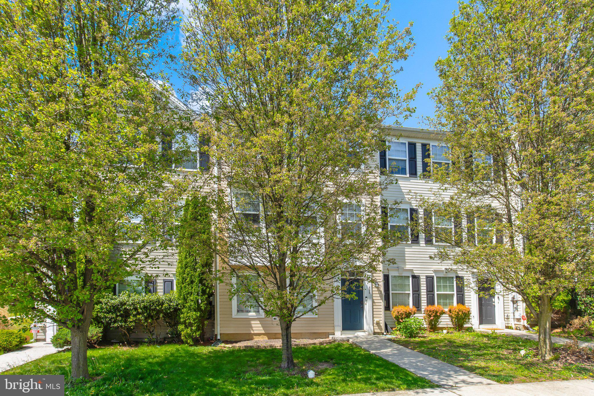 PROSPECT HEIGHTS - Residential