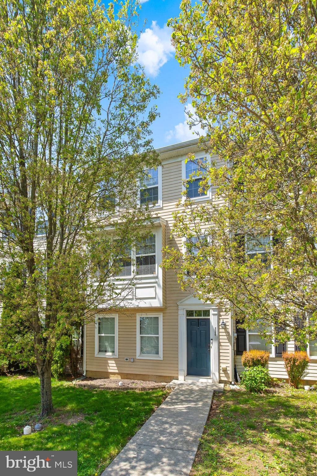 PROSPECT HEIGHTS - Residential