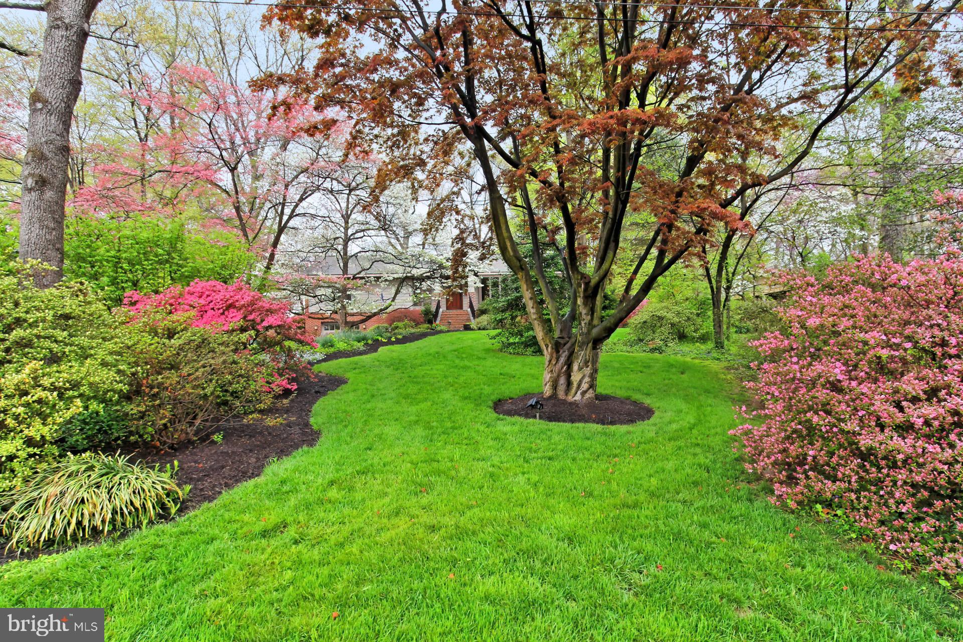 WAKEFIELD FOREST - Residential