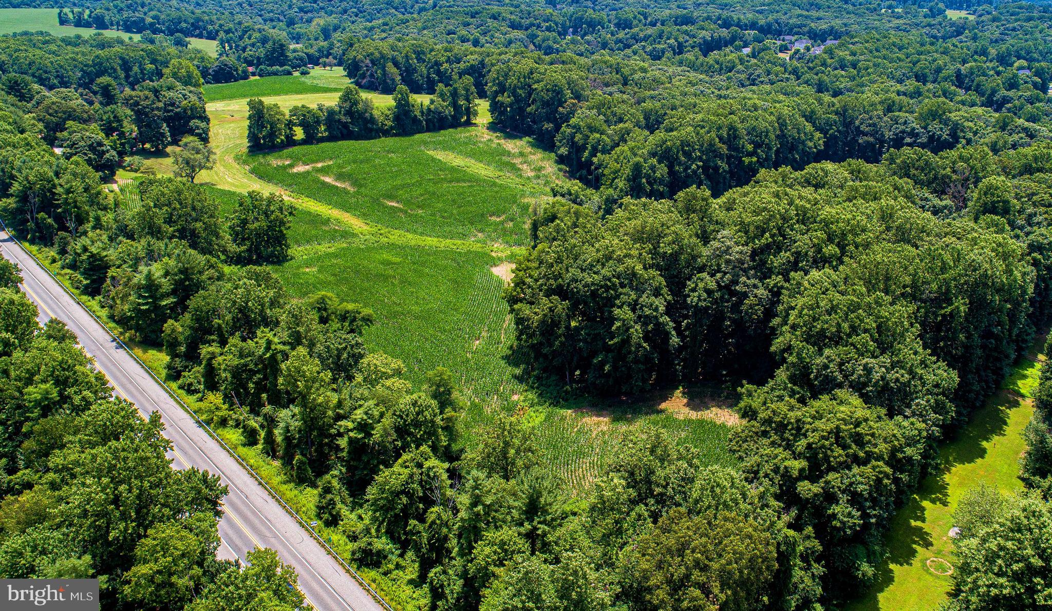 FOREST HILL - Farm