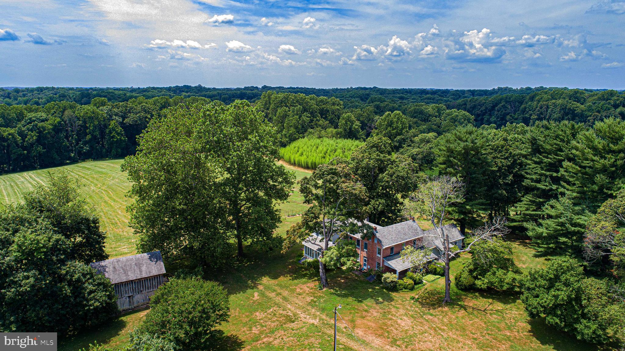 FOREST HILL - Farm