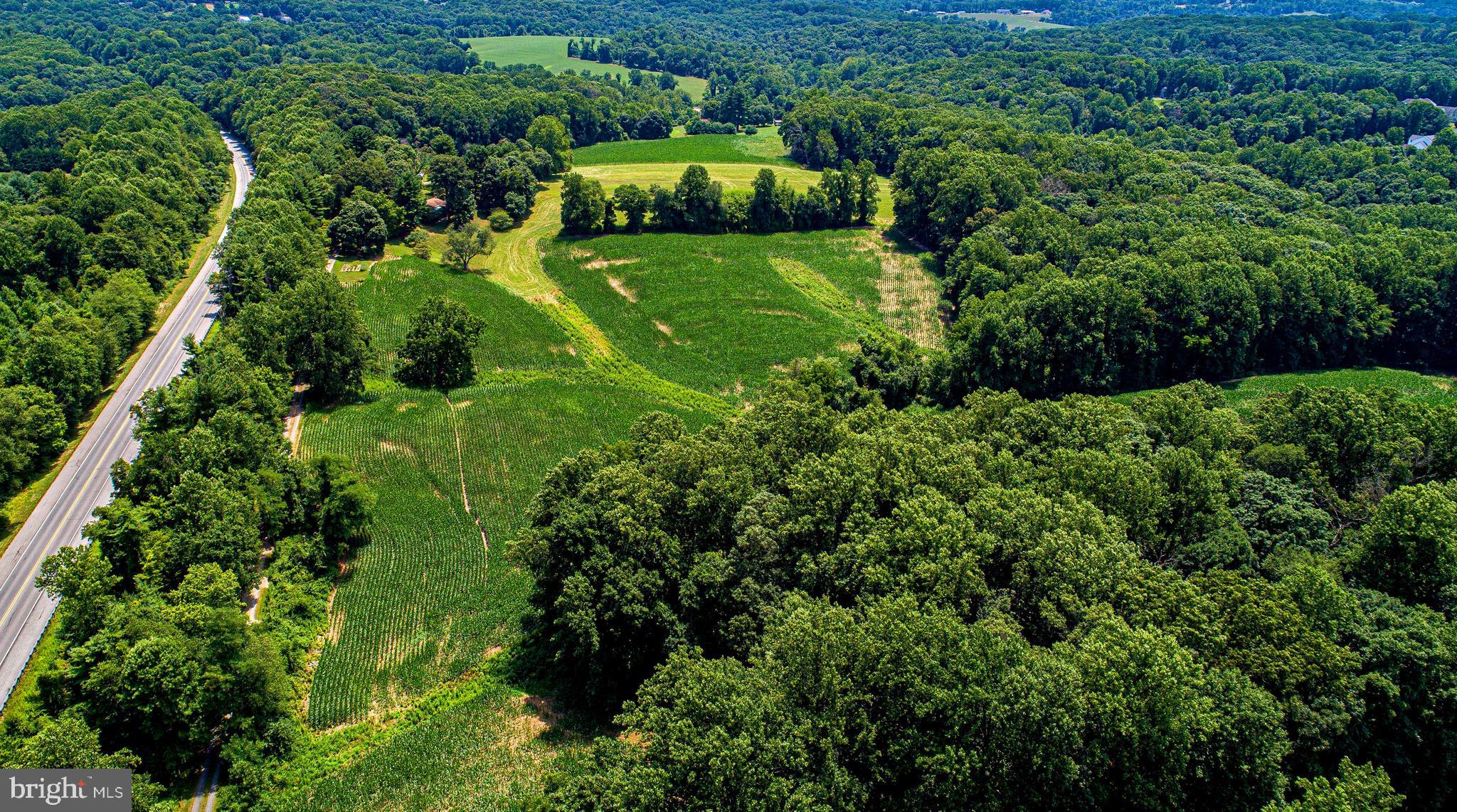 FOREST HILL - Farm