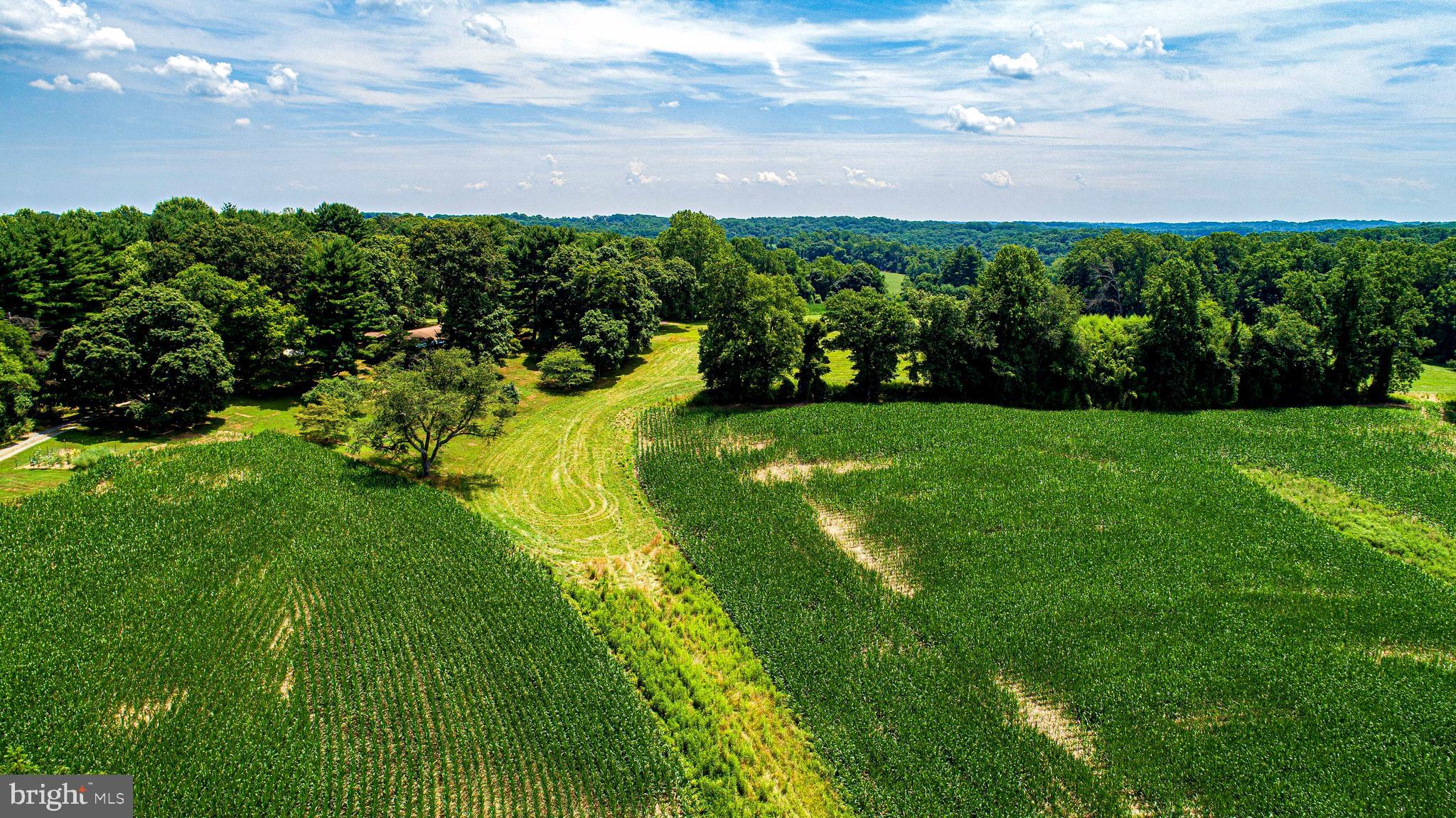 FOREST HILL - Farm