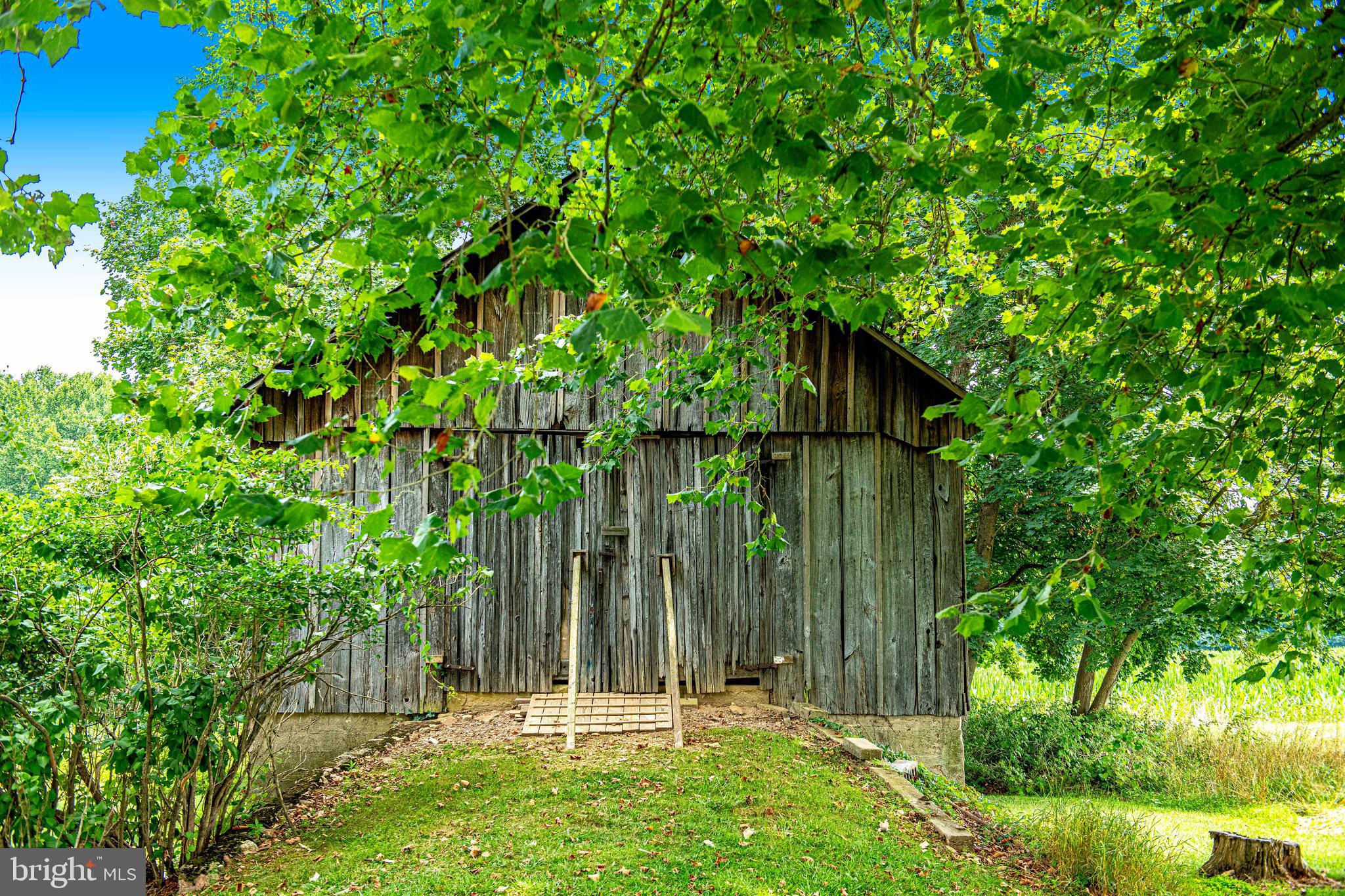 FOREST HILL - Farm