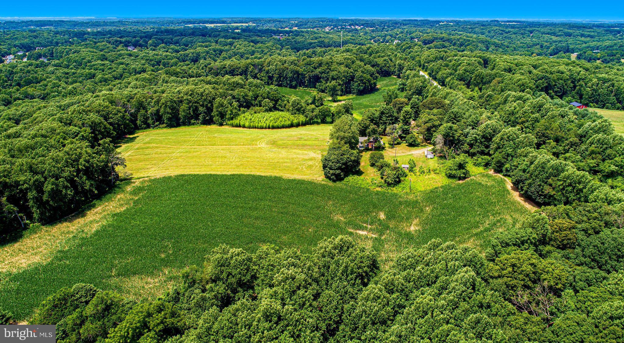 FOREST HILL - Farm