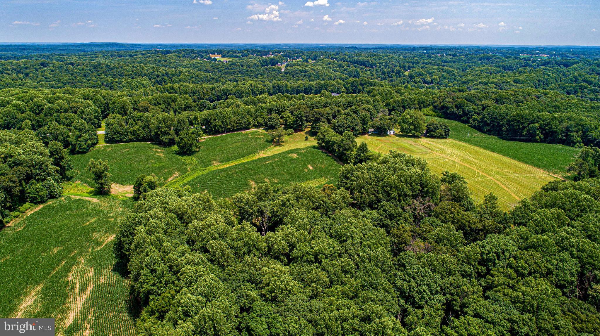 FOREST HILL - Farm