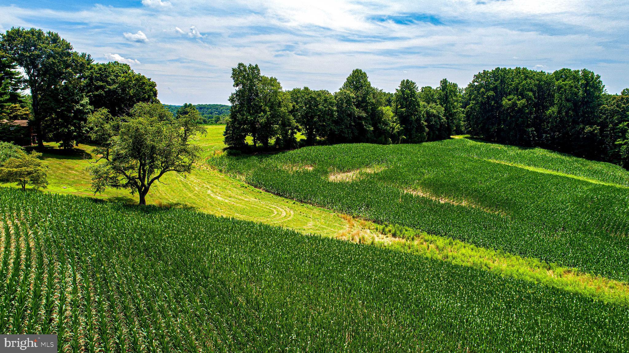 FOREST HILL - Farm