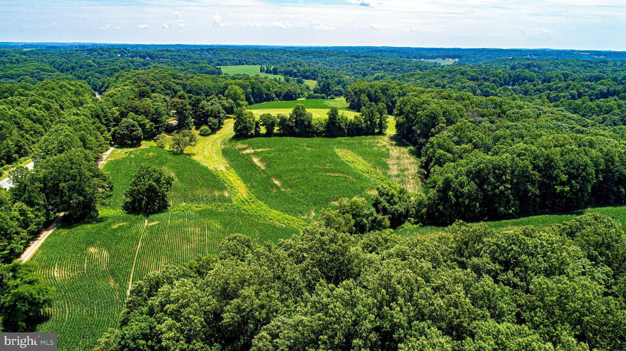 FOREST HILL - Farm