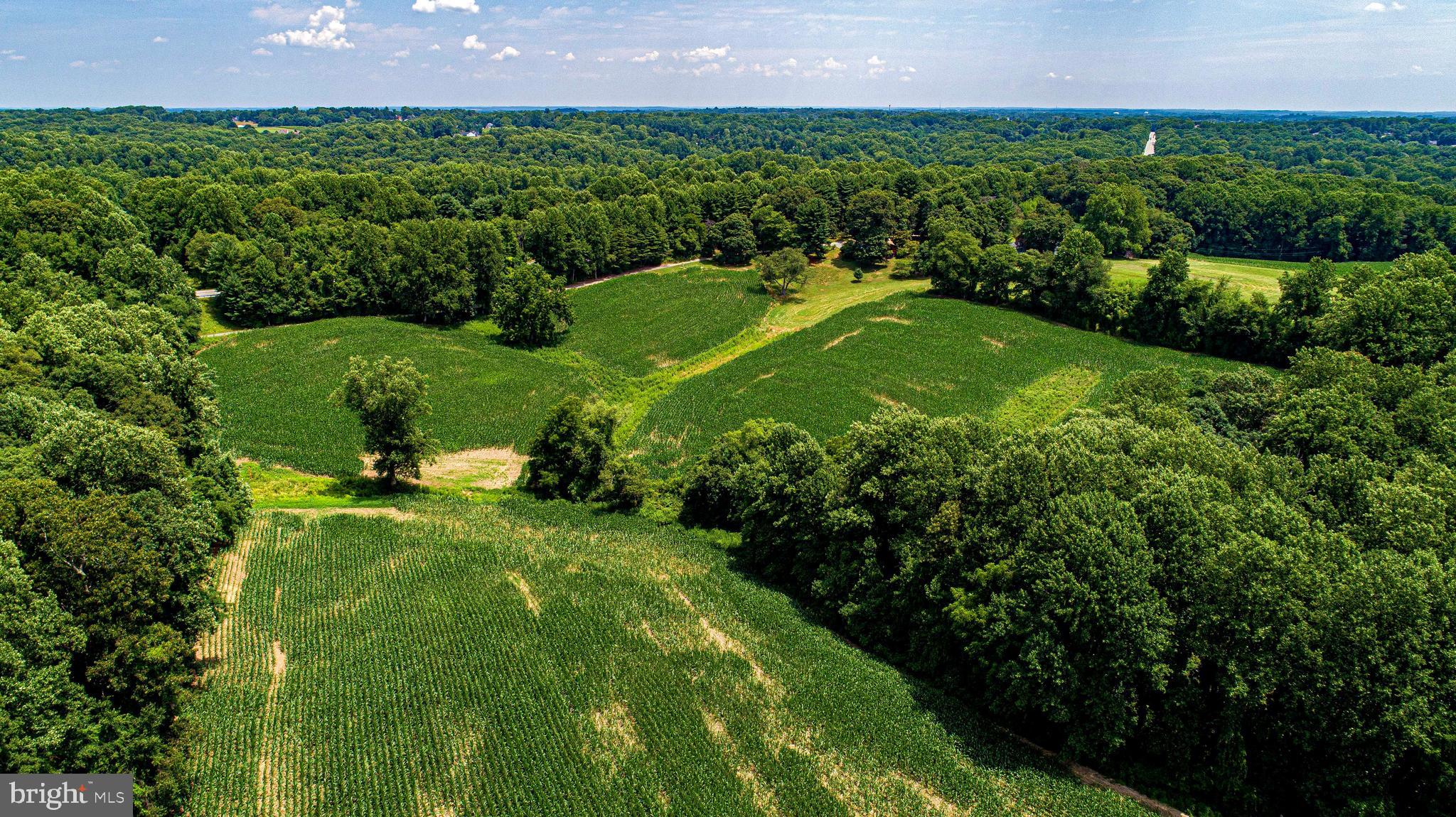 FOREST HILL - Farm
