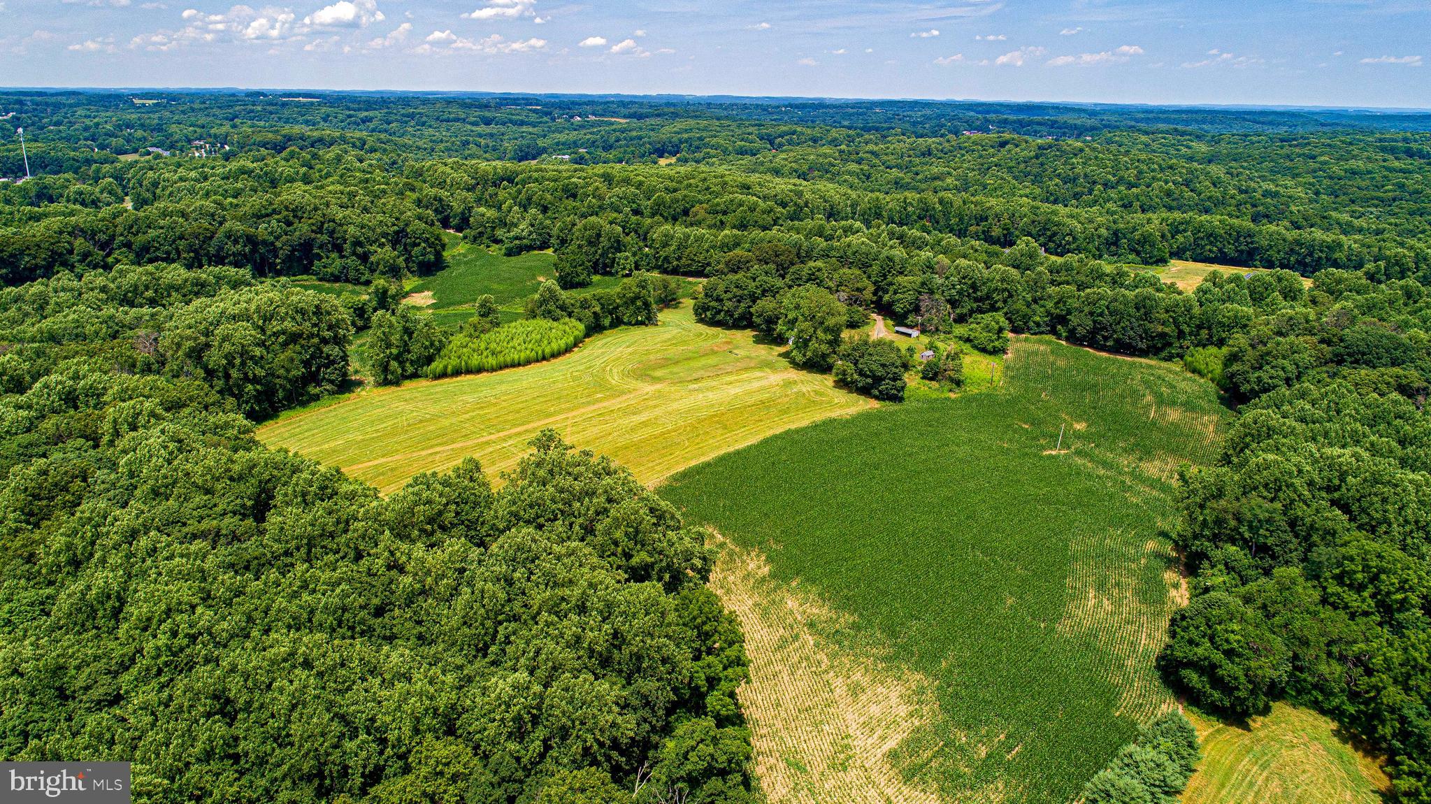 FOREST HILL - Farm