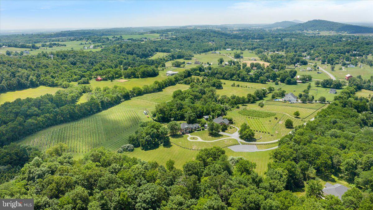 Be Sure to View the Video and 3D Tour to Fully Experience this Stunning Property <br><br>

**Briede Family Vineyards** presents an exceptional opportunity to acquire one of Virginia's distinguished boutique vineyard estates. Offering far more than beautiful real estate, it provides the new owners the opportunity to continue a well-established legacy within the Commonwealth's thriving wine industry. Combining an award-winning vineyard and winery brand with an elegant country residence currently operating as a licensed short-term rental, this remarkable property is ideally suited for those seeking both a lifestyle investment and an established business. The property's total acreage also includes three additional building lots (with approved Well and Septic), providing exceptional opportunities for future residential development, guest accommodations, or investment, subject to applicable approvals.<br><br>

For years, Briede Family Vineyards has earned recognition for producing award-winning wines while cultivating a reputation for offering intimate, highly personalized guest experiences. Unlike larger commercial wineries, the vineyard has become known for its thoughtfully curated tastings, signature Champagne experiences, and imported French cheese pairings, creating a destination that guests return to year after year. The recognized brand, loyal clientele, and respected presence within Virginia's wine community provide an invaluable foundation for future ownership.<br><br>

The beautifully appointed tasting room and adjoining great room provide an inviting setting for tastings, private gatherings, and special events. Guests can also enjoy the charming covered pavilion overlooking the vineyard, offering an ideal outdoor venue for relaxing, live entertainment, special events, and taking in the surrounding views. Complementing the vineyard experience, the beautifully maintained residence offers guests the opportunity to experience life among the vines. Surrounded by sweeping vineyard vistas and tranquil countryside, the home serves equally well as a private estate residence, luxury guest accommodations, or an expanded hospitality venue, offering exceptional flexibility for a variety of ownership goals.<br><br>

The property encompasses established vineyards, meticulously maintained grounds, and the infrastructure necessary to continue current operations while providing opportunities for future growth. This is a true turnkey opportunity, allowing a new owner to step into an established vineyard operation with recognized branding and a well-developed hospitality experience, while providing an exceptional foundation for future growth and continued success. Whether expanding wine production, enhancing agritourism, hosting private events, or preserving the vineyard's boutique character, the possibilities are exceptional.<br><br>

Conveniently located in Frederick County, Virginia, with easy access to Northern Virginia, Washington, D.C., and the Shenandoah Valley, Briede Family Vineyards represents a rare opportunity to acquire a recognized vineyard destination where years of dedicated ownership, reputation, and hospitality come together in one remarkable offering.