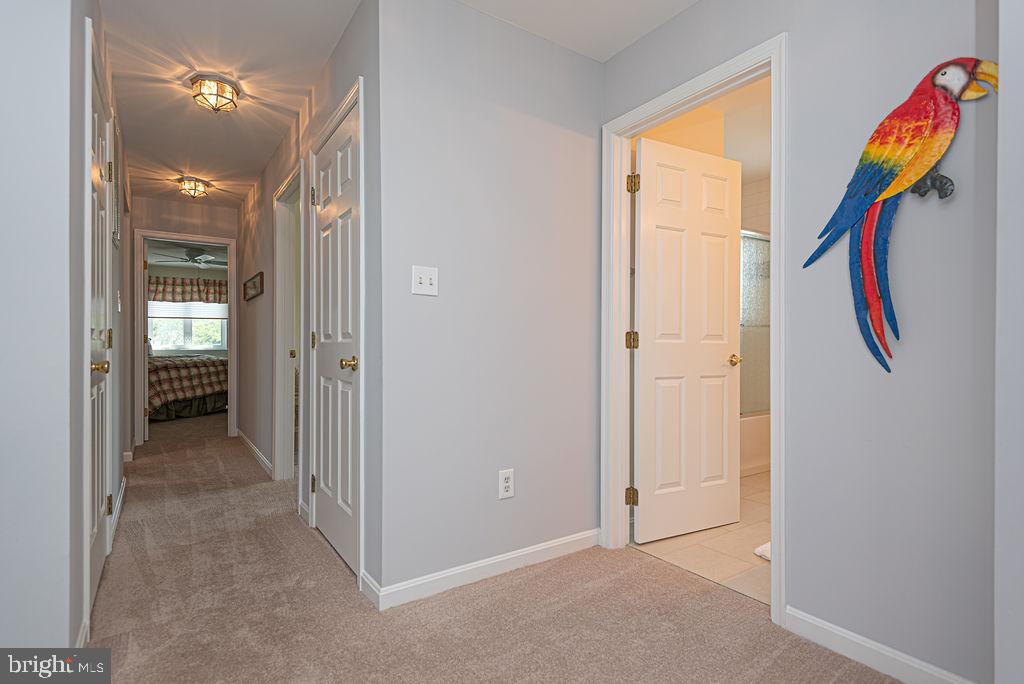OCEAN PINES - NEWPORT - Residential