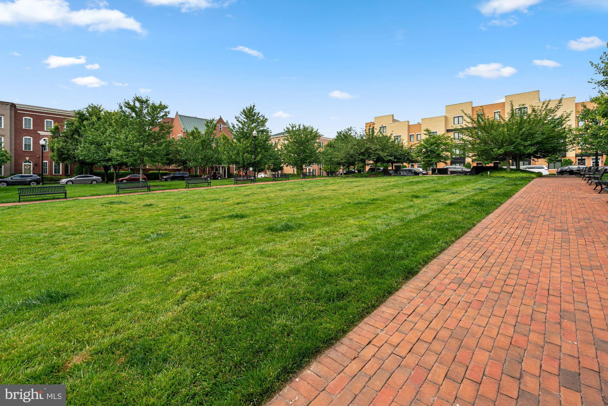POTOMAC YARD - Residential