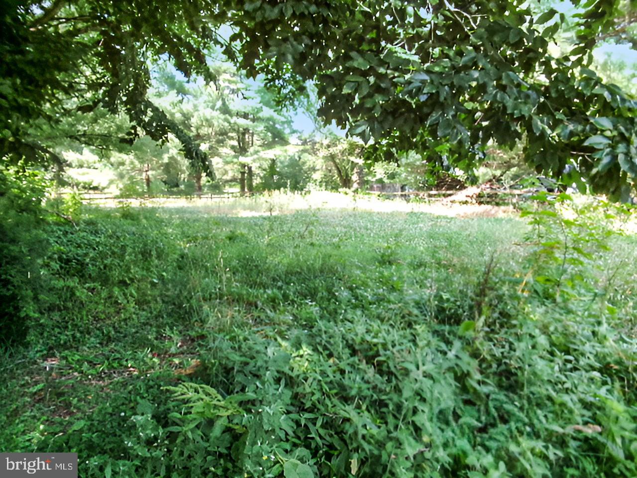LAKE FOREST ESTATES - Residential