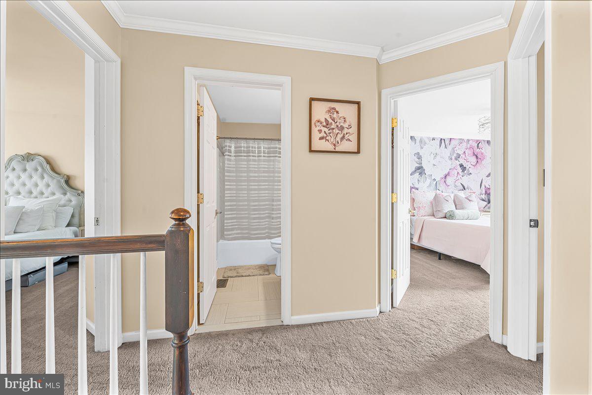 WILLOW BROOK - Residential