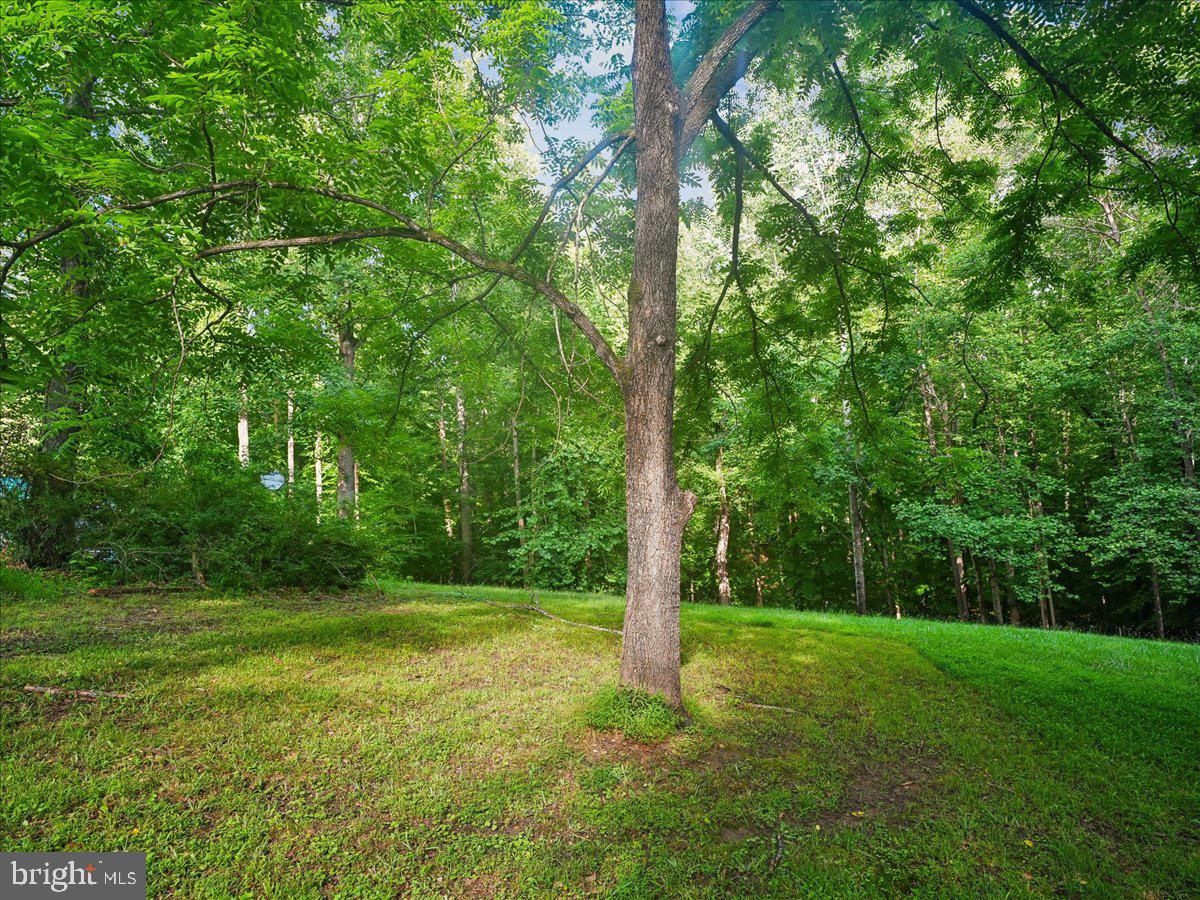 CLIFF'S MILL ON CARTER'S RUN - Residential