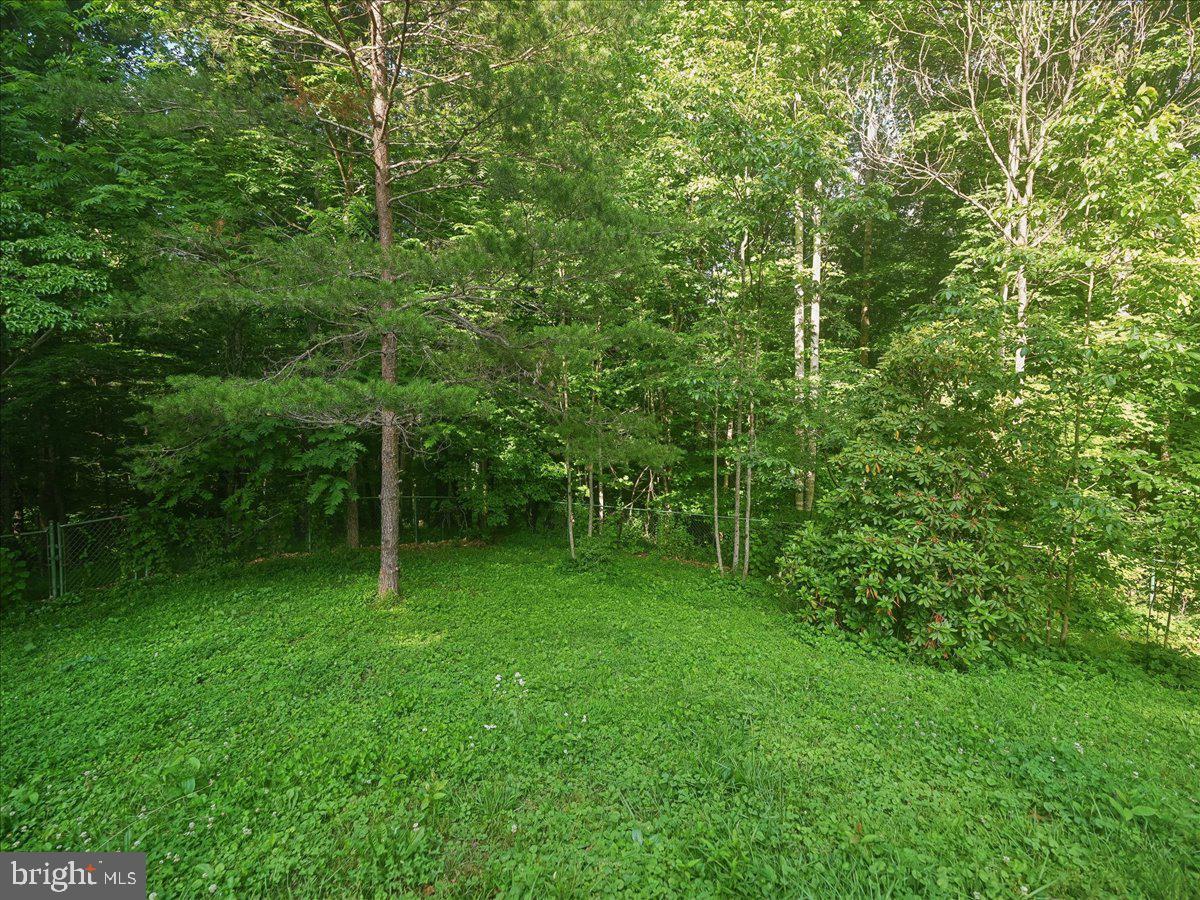 CLIFF'S MILL ON CARTER'S RUN - Residential