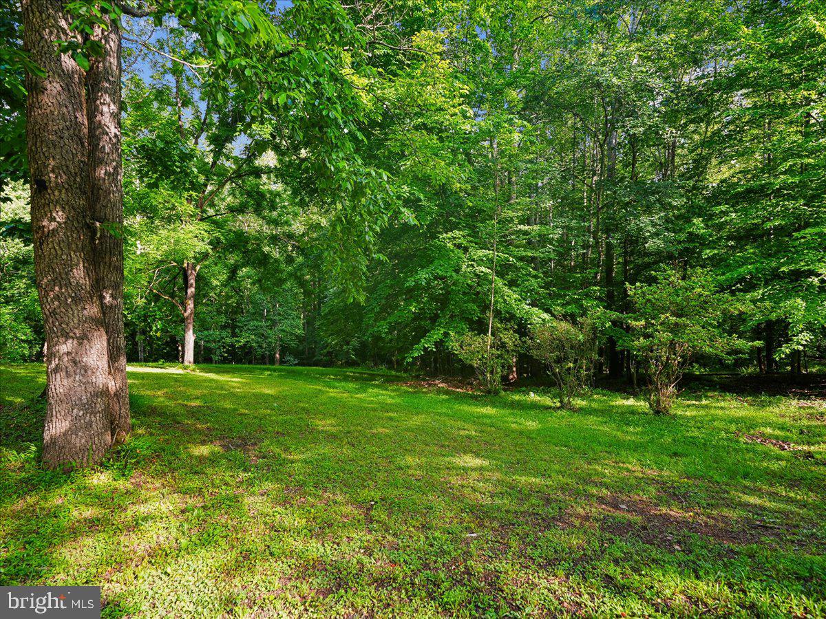 CLIFF'S MILL ON CARTER'S RUN - Residential