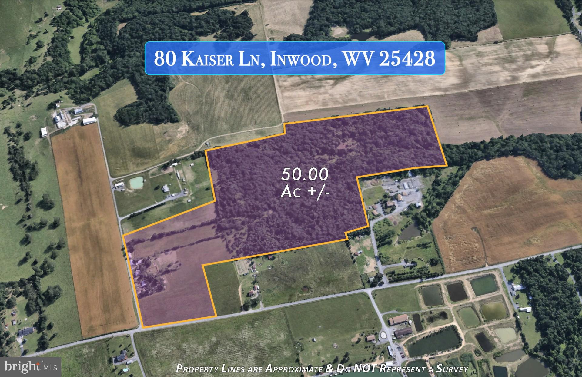 Don’t miss this rare opportunity to own 47.6 acres of prime, mostly level land just minutes from Inwood, WV. *PENDING RELEASE* With excellent visibility and frontage along a state-maintained road, this property offers strong potential for residential, commercial, or mixed-use development. Conveniently located with quick access to I-81 and major commuter routes, it’s an ideal site for builders, investors, and developers looking to capitalize on the area's steady growth. A scenic pond adds charm to the landscape, and public utilities are nearby, making future development that much easier. The man made pond was used for watering cattle.  Whether you're looking to build, invest, or hold, this is a valuable piece of land in a high-demand location.