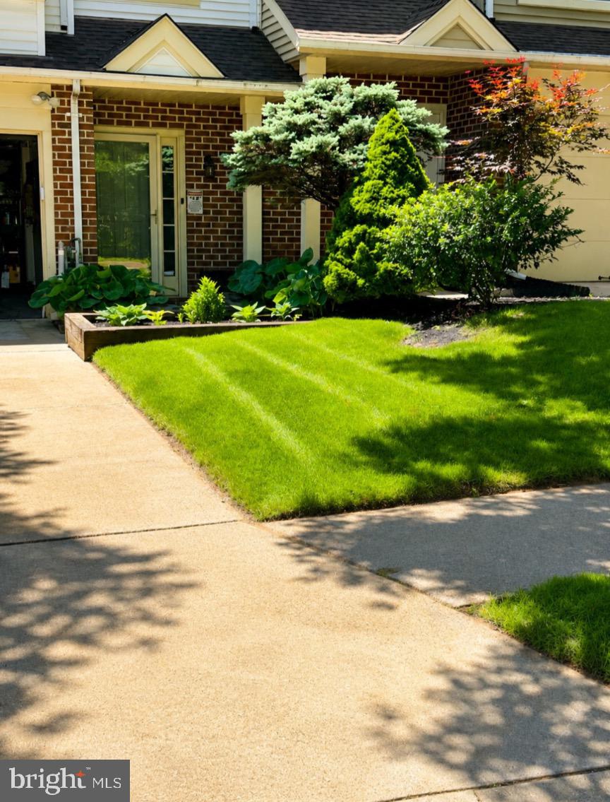 SUBURBIA/VILLAGE OF TIMBER GROVE - Residential