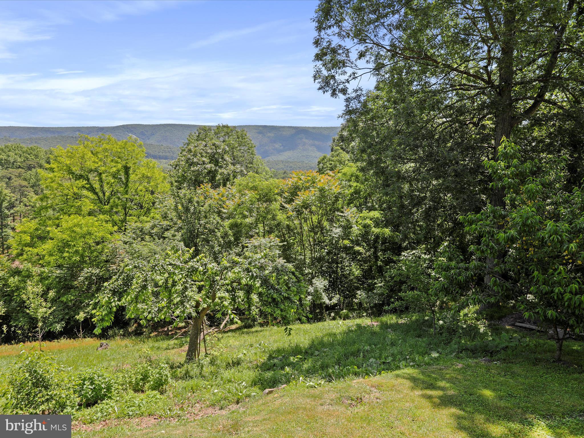 CEDAR RUN - Residential
