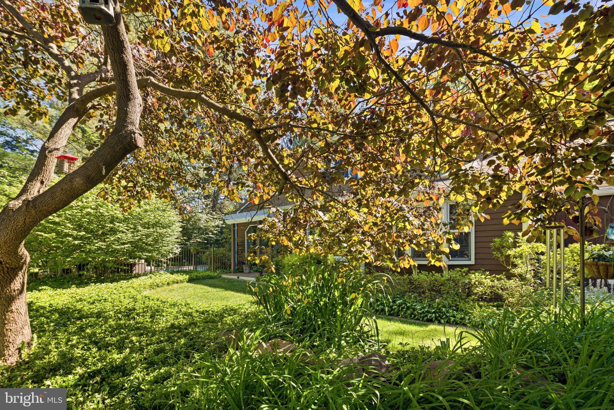 BUCKLAND VALLEY EG - Residential