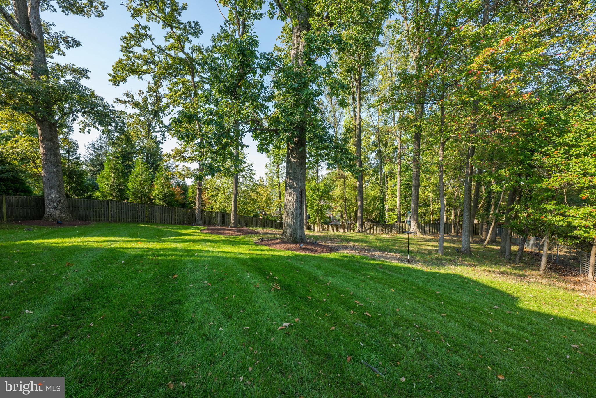 MINOR HILL - Residential