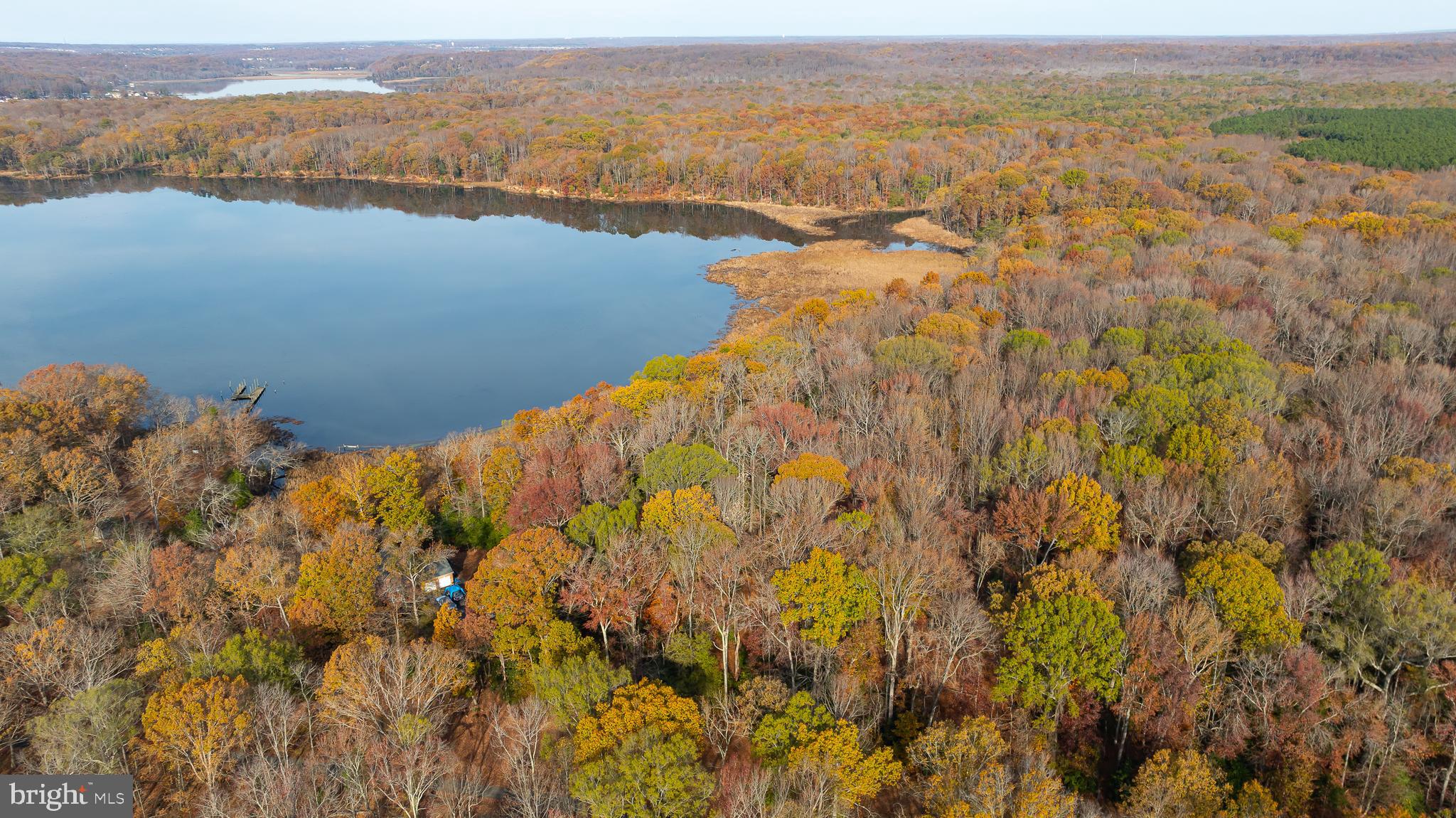 Perfect opportunity for waterfront living! This secluded lot has direct access to Aquia Creek and is just a short boat ride to the Potomac River! Potentially build your dream home or just a dock for water access! No recent site work available, but land originally had a 3 bedroom perc. Stunning water views and all the benefits of being in desirable Stafford County! The 20' easement is deeded and just to the right of 60 Shady Cove Lane. Please register ALL showings with the listing agent before viewing.