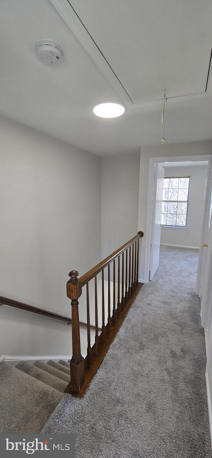 COUNTRYSIDE - Residential Lease