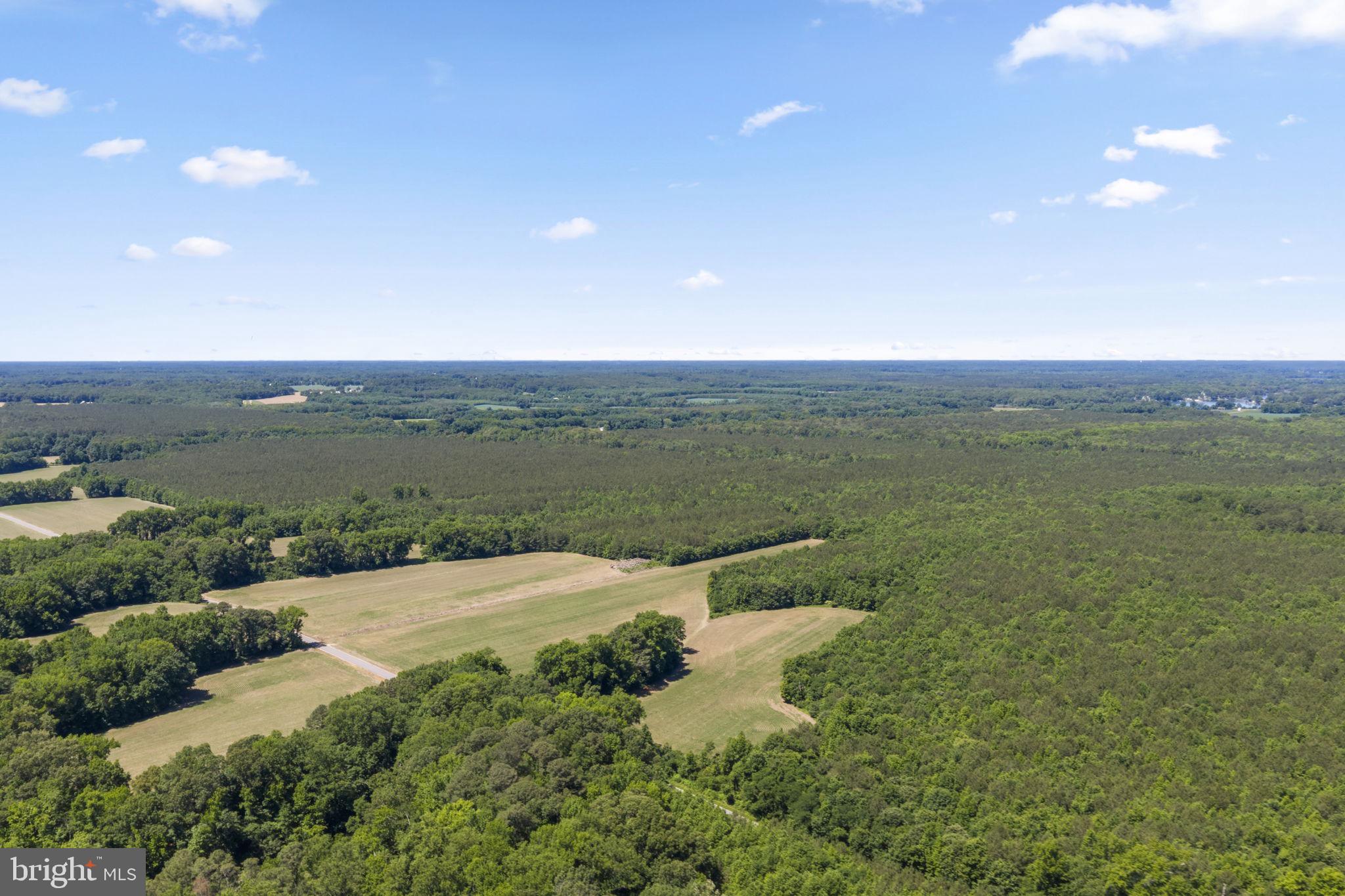 This 372-acre tract offers a rare opportunity to own a large acreage property with endless potential. With access from Coles Point Road, Tucker Hill Road, and Wilton Road, the property provides excellent accessibility and flexibility for a variety of uses. With no known restrictions, the possibilities are wide open — whether you’re looking for recreational land, hunting property, timber investment, farming, development potential, or the perfect private retreat. The property features a mature pine tree farm ready for harvest, offering immediate investment potential, along with young hardwoods beginning to regenerate from a previous timber cruise for future value. Wildlife is abundant throughout the acreage.