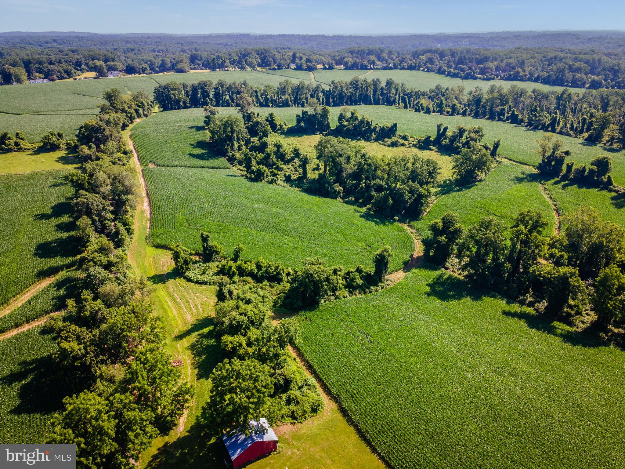NONE AVAILABLE - Farm
