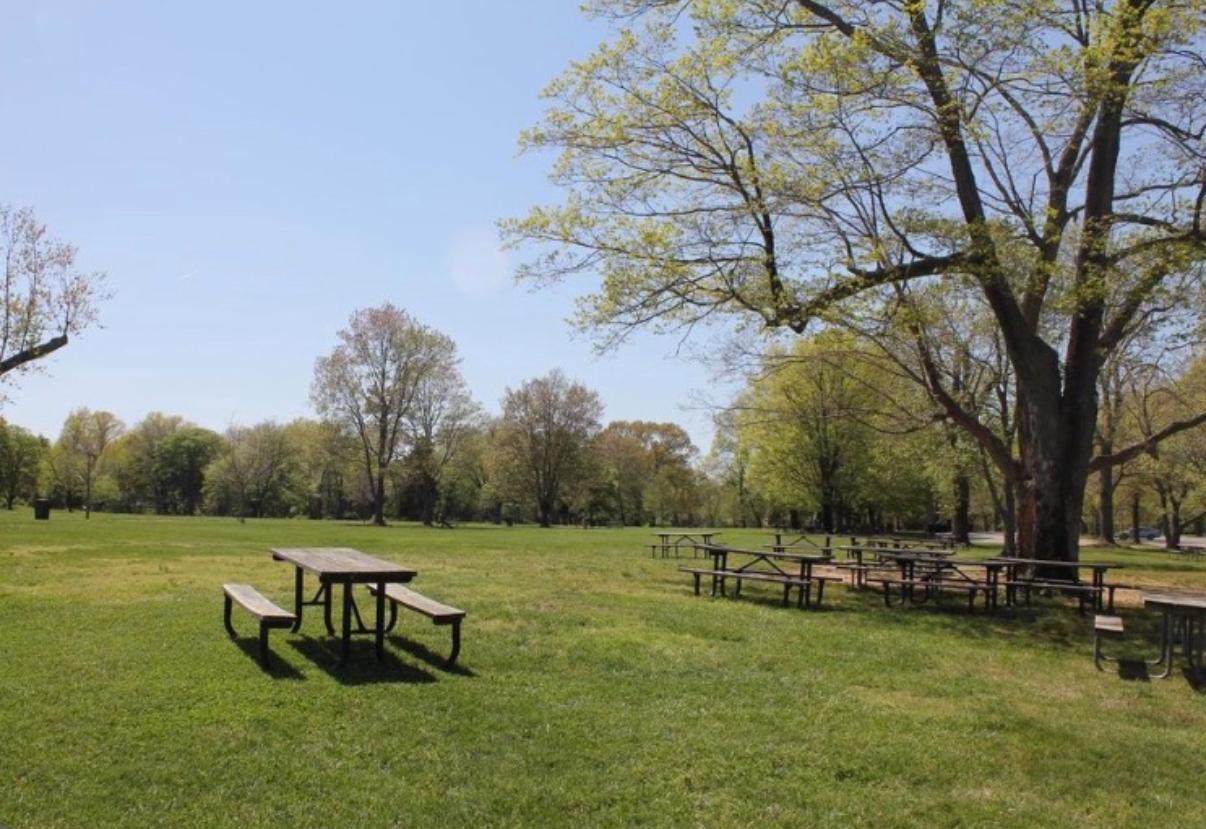 HOLLINDALE - Residential