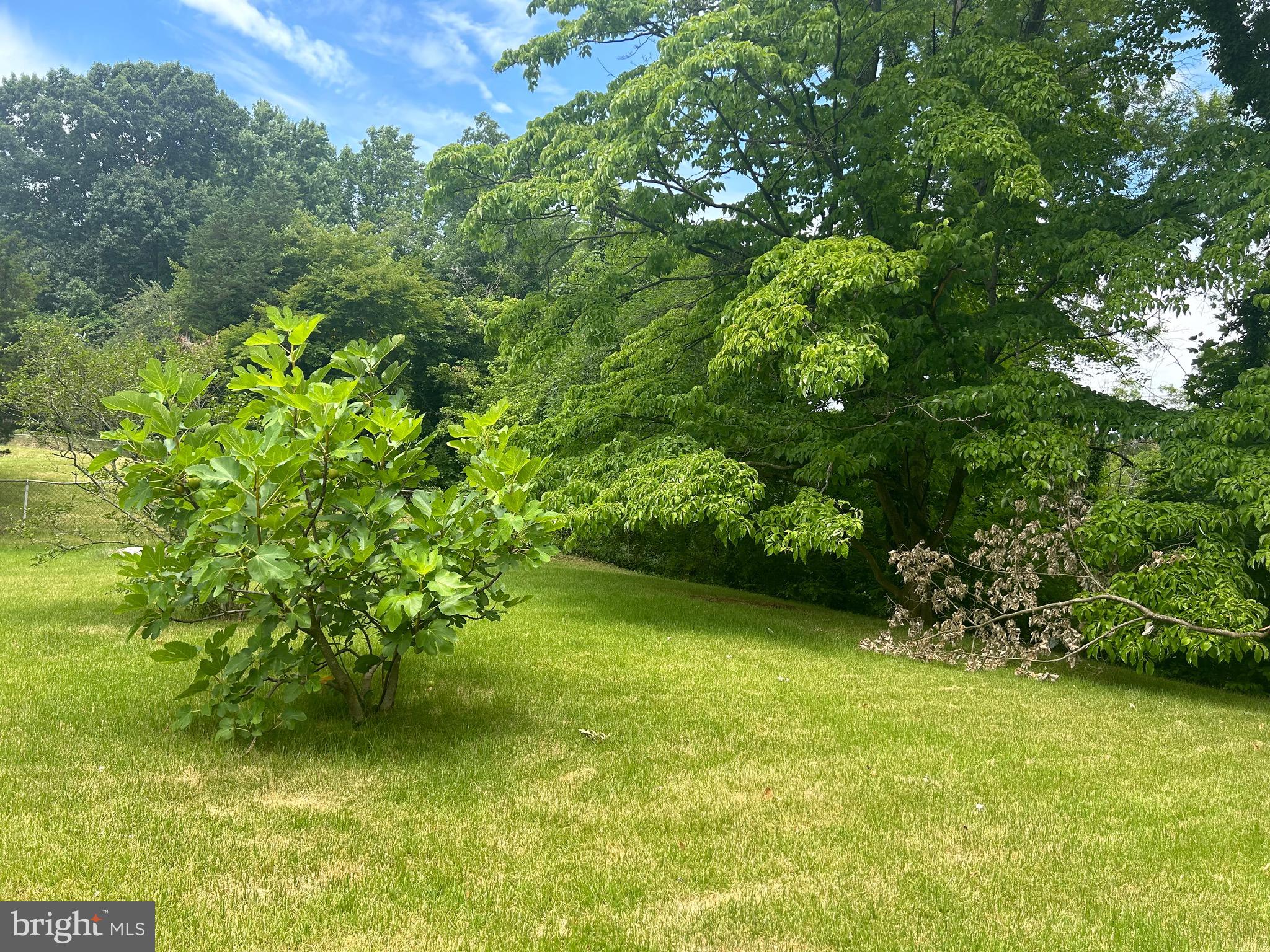 FOREST KNOLLS - Residential Lease