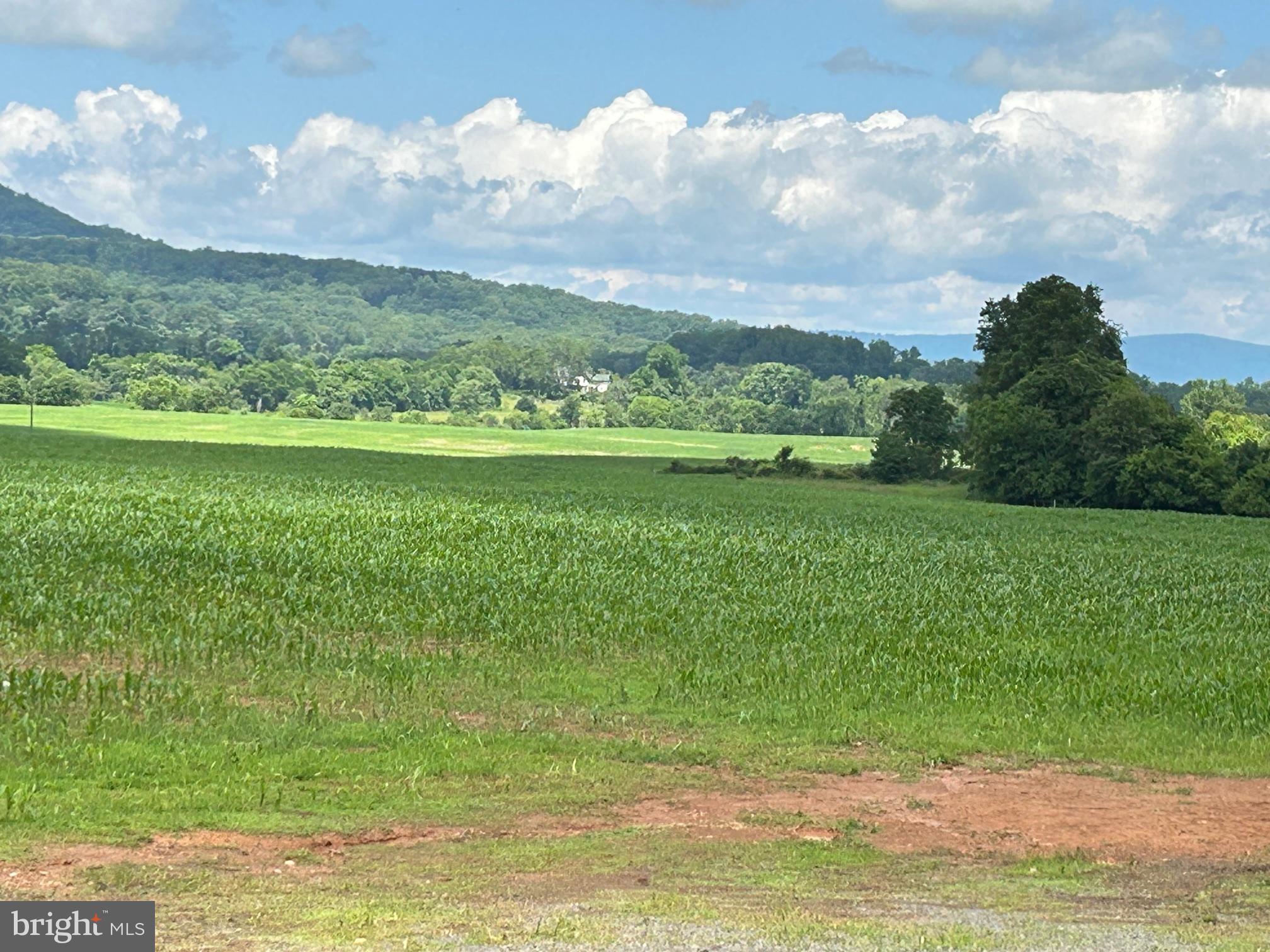 NONE AVAILABLE - Farm