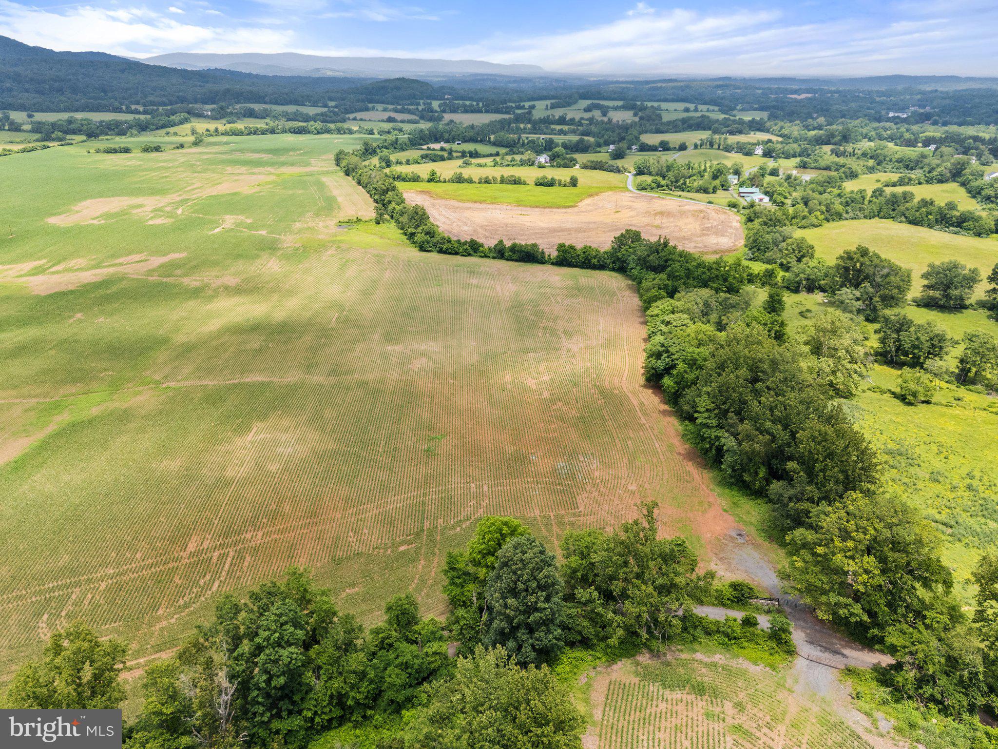 NONE AVAILABLE - Farm