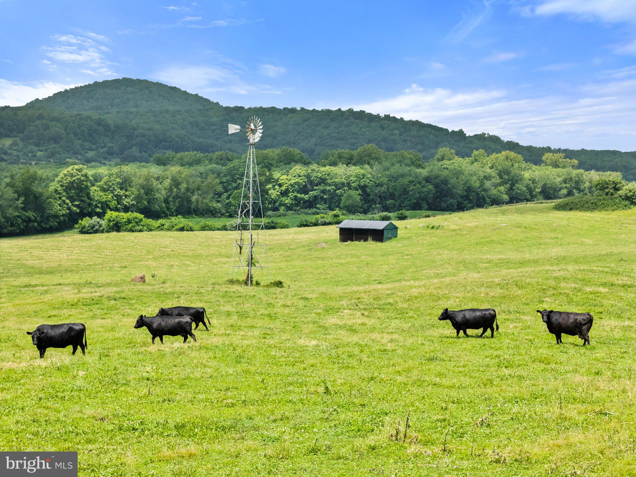 NONE AVAILABLE - Farm