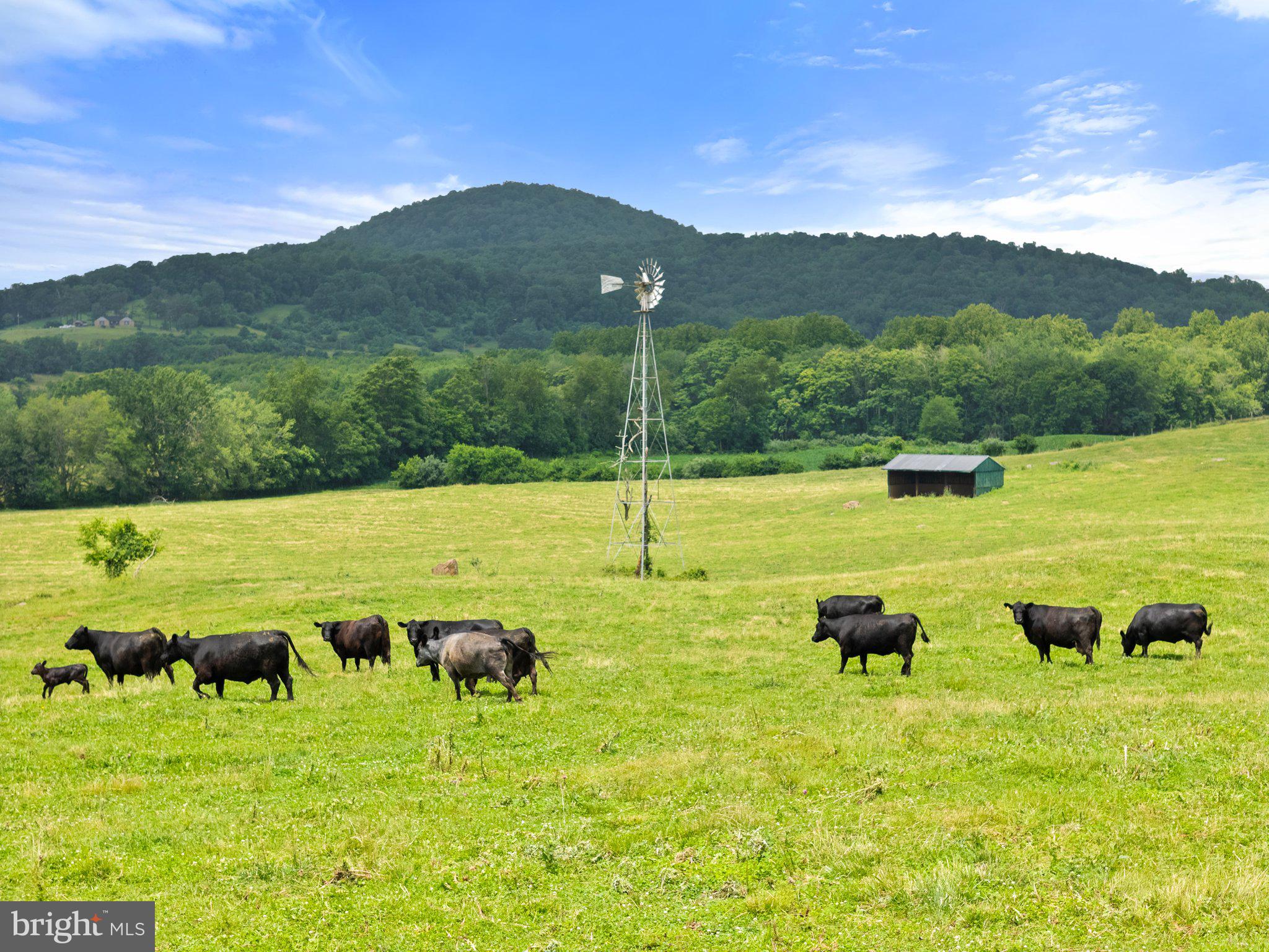 NONE AVAILABLE - Farm