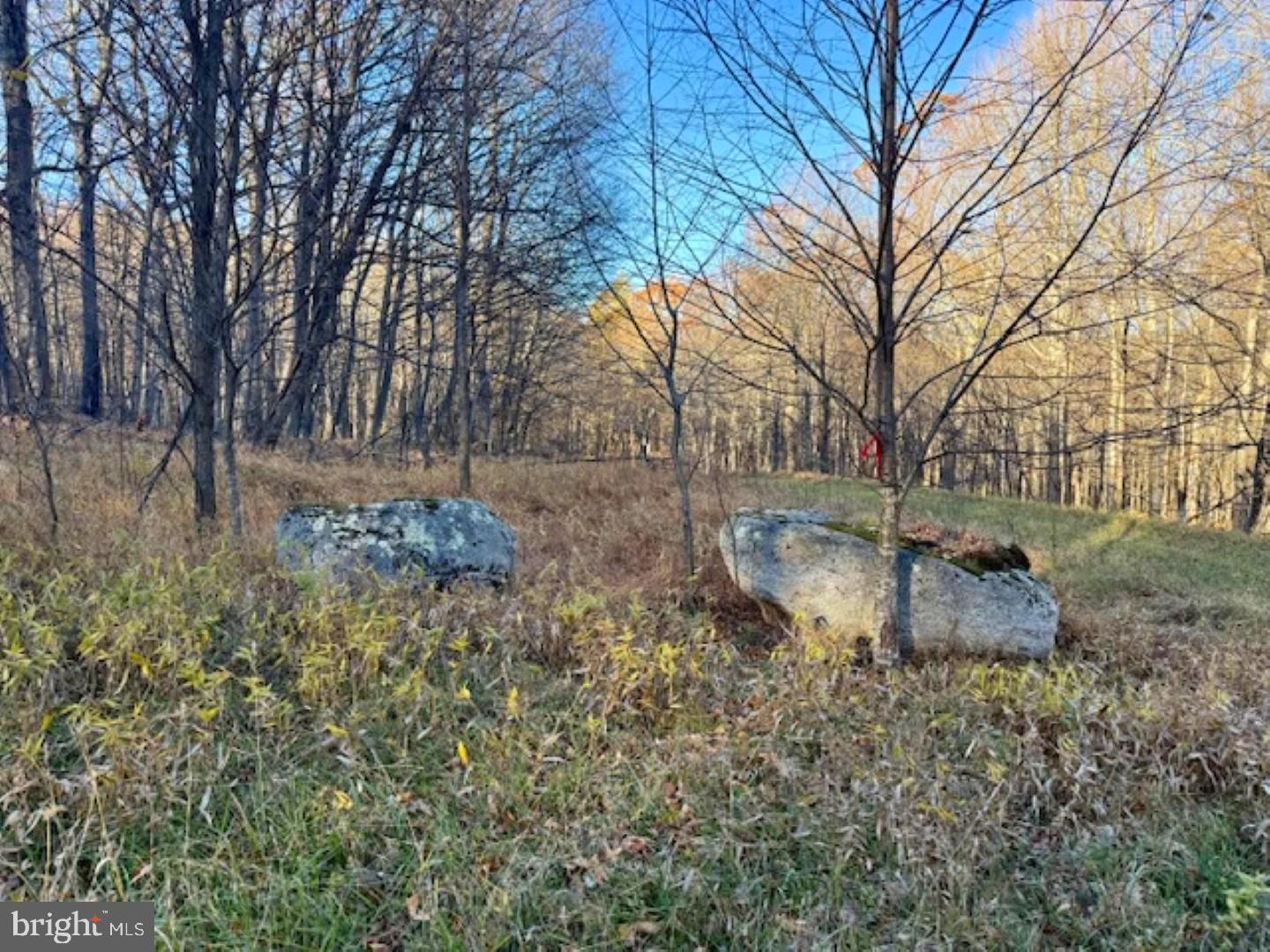 RETREAT AT DOLLY SODS - Land